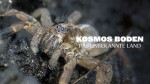 Kosmos Boden - Das unbekannte Land Kosmos Boden - Das unbekannte Land