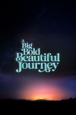 A Big Bold Beautiful Journey